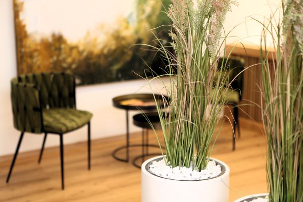 Massage Linz
